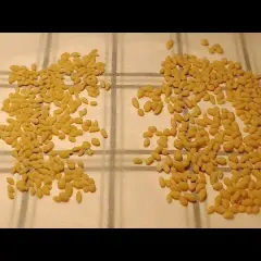 Jak zrobić zacierkę do zupy, aby wzbogacić jej smak i aromat
