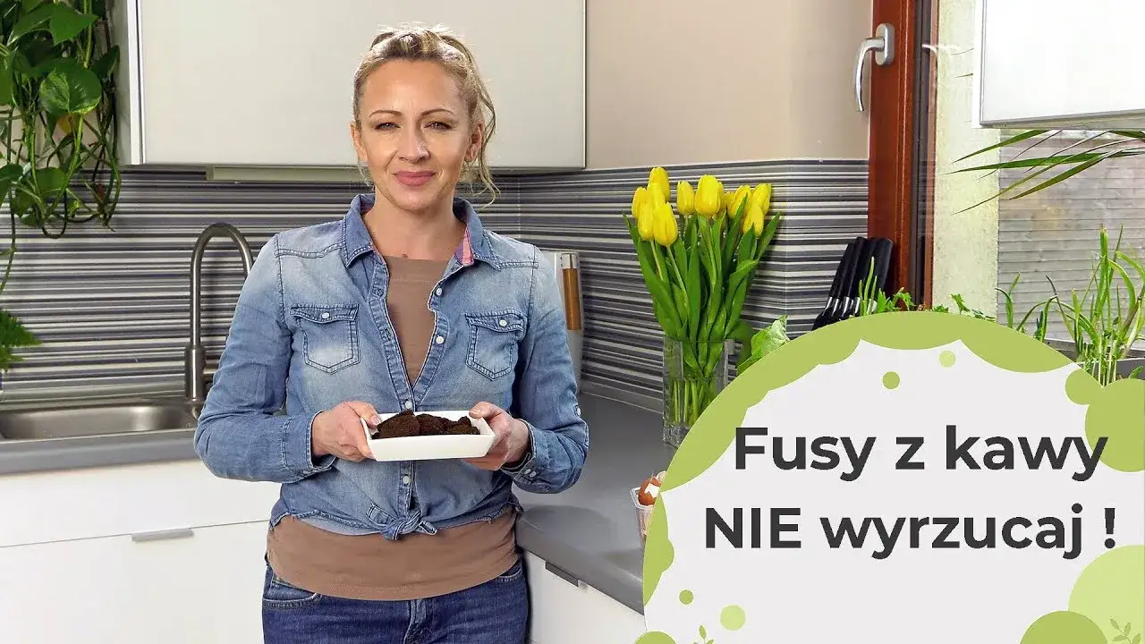 Zdjęcie Co można podlewać fusami z kawy? Odkryj najlepsze rośliny do uprawy